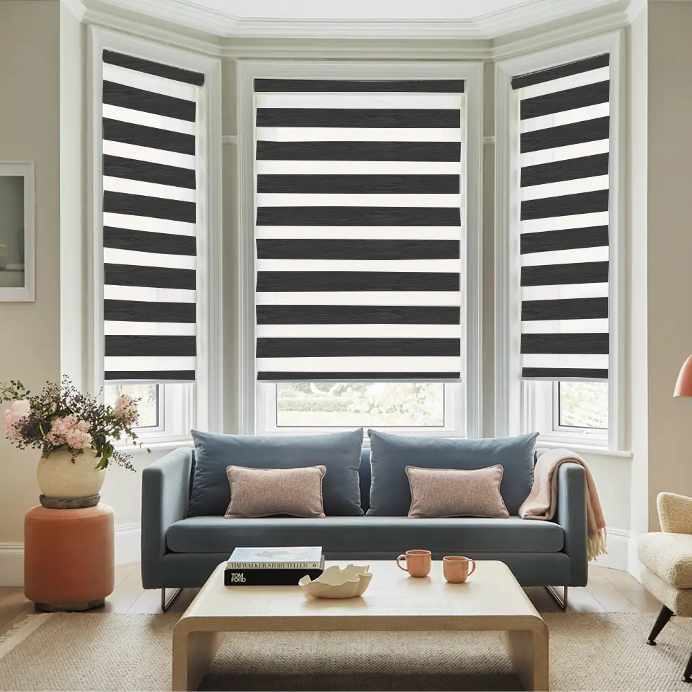 Vision Black Day and Night Window Blinds providing adjustable privacy and light control throughout the day.