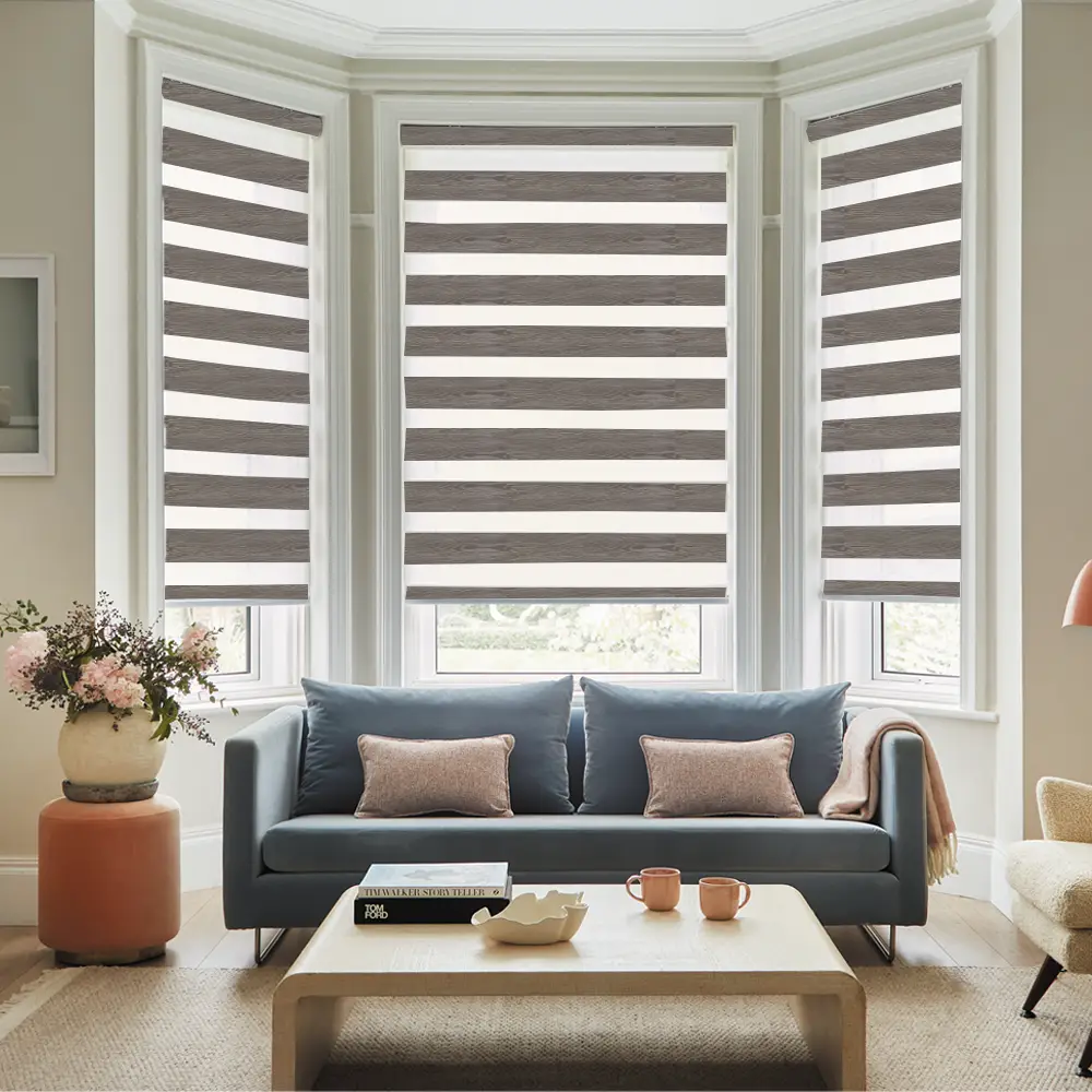 Vision Taupe Day and Night Window Blinds providing adjustable privacy and light control throughout the day.